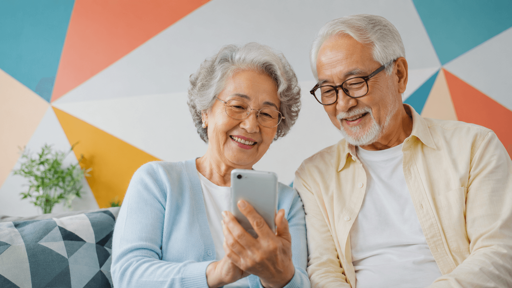 Elderly companionship